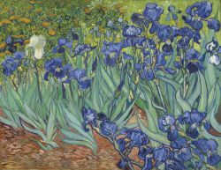 Vincent Van Gogh - Irises in the Garden