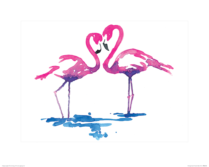Sarah Stokes - Flamingo Study