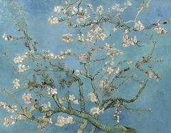 Vincent Van Gogh - Almond Blossom, 1890