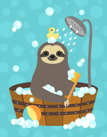 Nancy Lee - Bathing Sloth