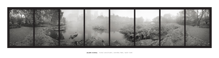 Allen Schill - Pond Sanctuary, Central Park, NY
